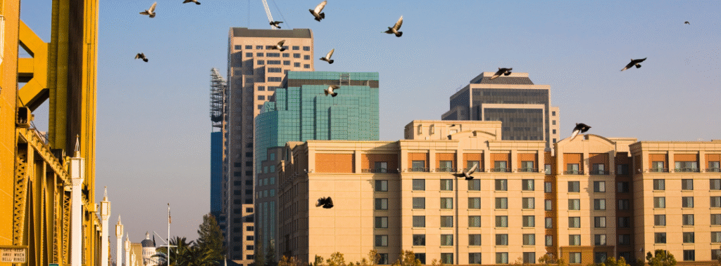 The Sacramento skyline illustrating how impactful a Sacramento rebrand can be.